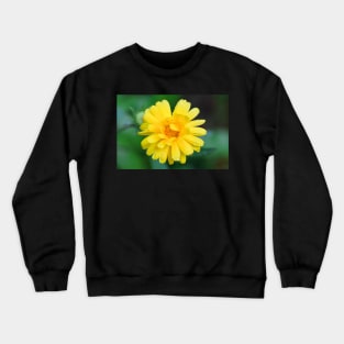 Yellow garden flower with dew drops facemask Crewneck Sweatshirt